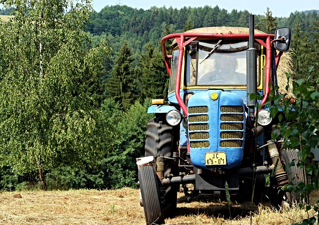 Traktor, Natur, Feld, Zetor, Sommer