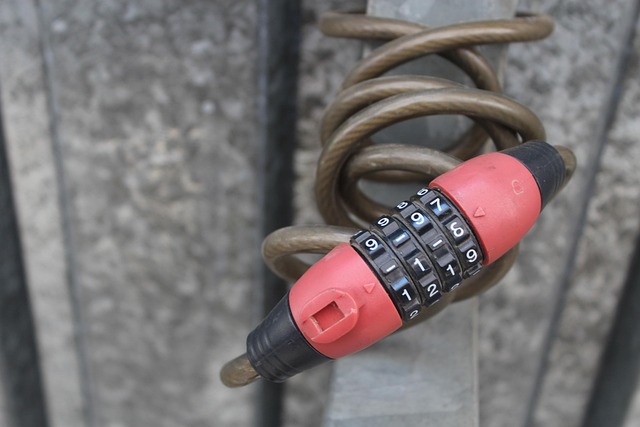 Free Castle Combination Lock photo and picture