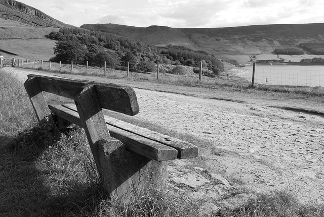Free Bench Black And White photo and picture