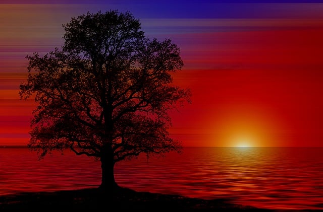 Free tree water waves illustration