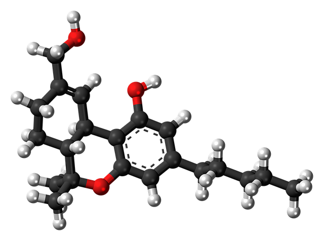 Free tetrahydrocannabinol metabolite hydroxy illustration