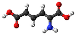 aminomuconic, acid, metabolism