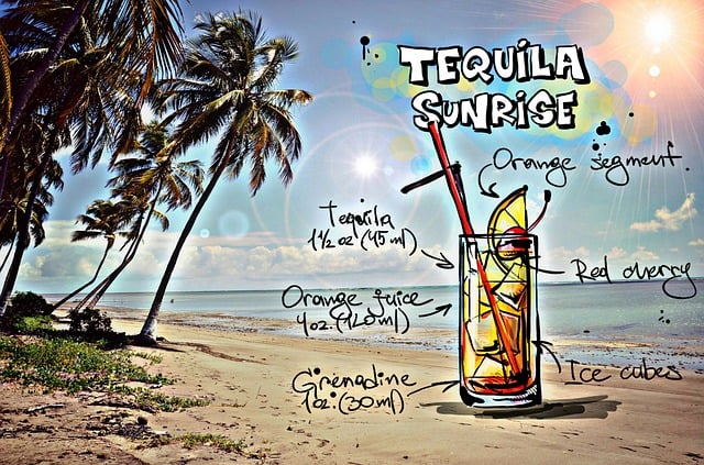 Free tequila sunrise cocktail nature illustration