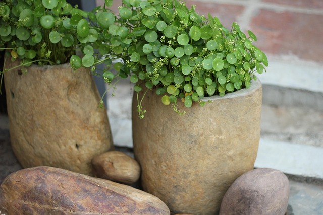 Free Green Nature photo and picture