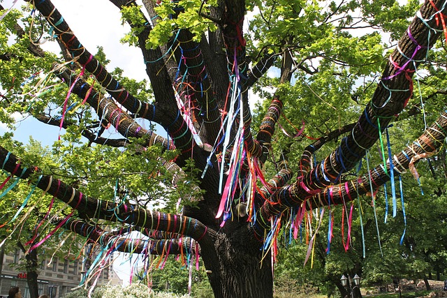 Free Tree Friendship photo and picture