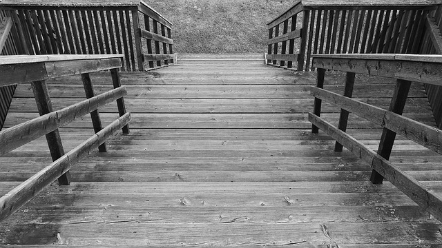 Free Rose Wooden Steps photo and picture
