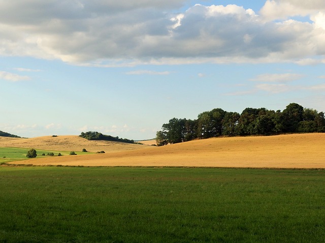 Länder, Sommer, Natürlich