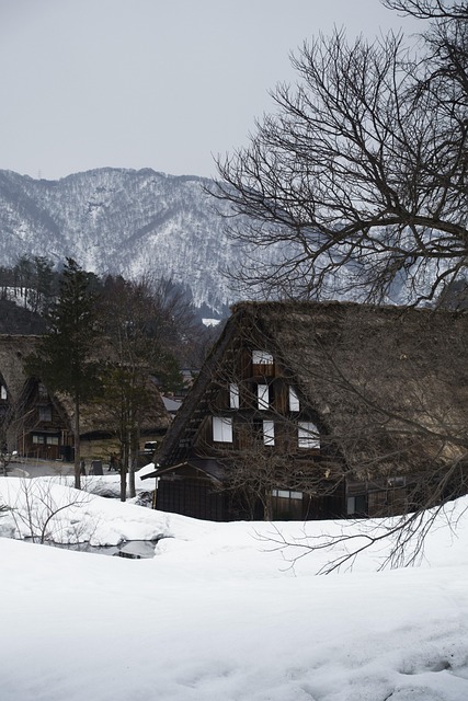 Japón, Arquitectura, Gifu