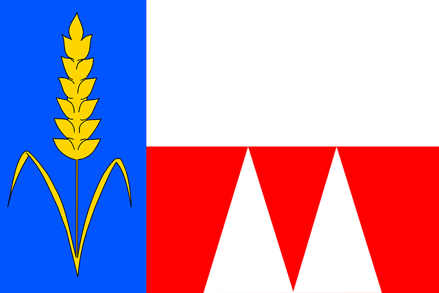 Free vlajka coat of arms mesta vector