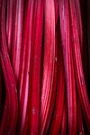 rhubarb, fruit, pink