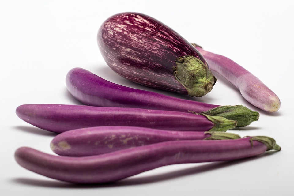 Eggplant Fruit Still Free Photo On Pixabay