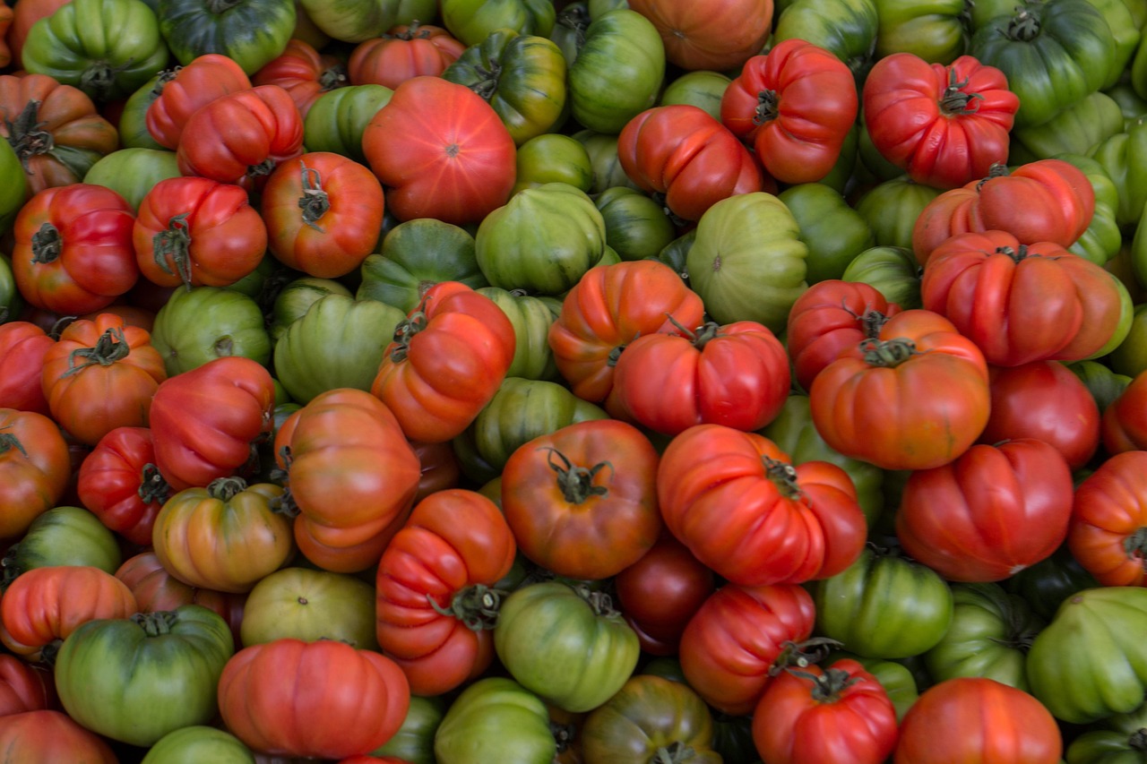 Vegetables - free online jigsaw puzzle photo