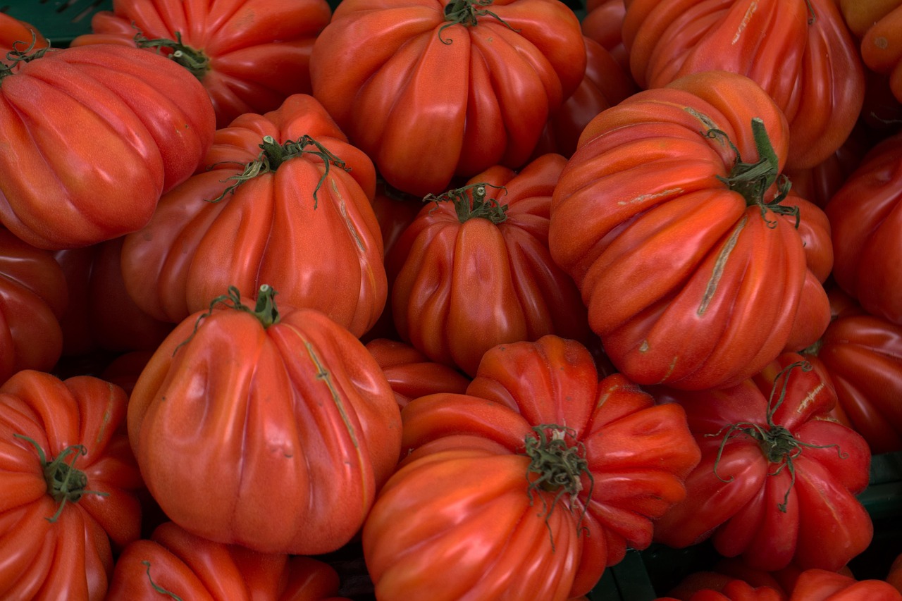 Vegetables - free online jigsaw puzzle photo