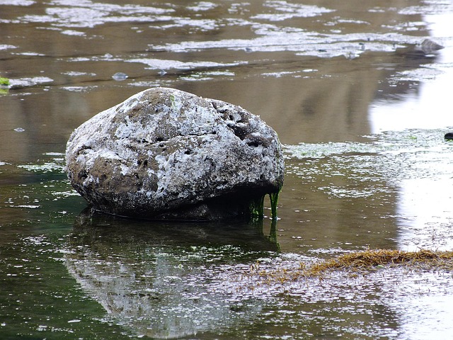 Free Stone Seaside photo and picture