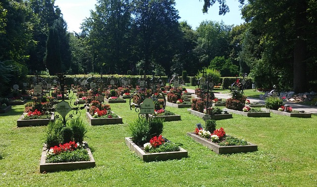 Free Graveyard Monastery Cemetery photo and picture