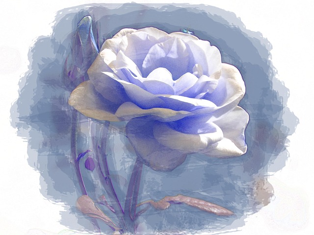 Blau, Rose, Digital, Natur, Malen, Rose