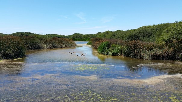 Free Lagoon Lake photo and picture