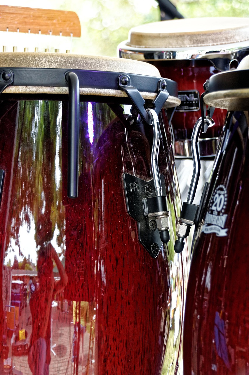 Bongos Drums Music Free photo on Pixabay Pixabay