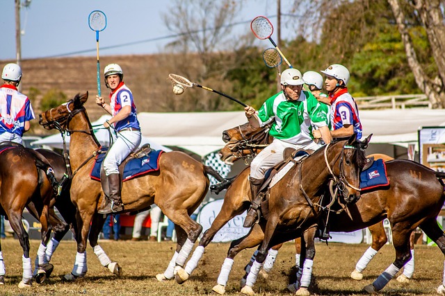 sport, polo cross, nature, horse, usa, polo, competition, hobby, brown cross