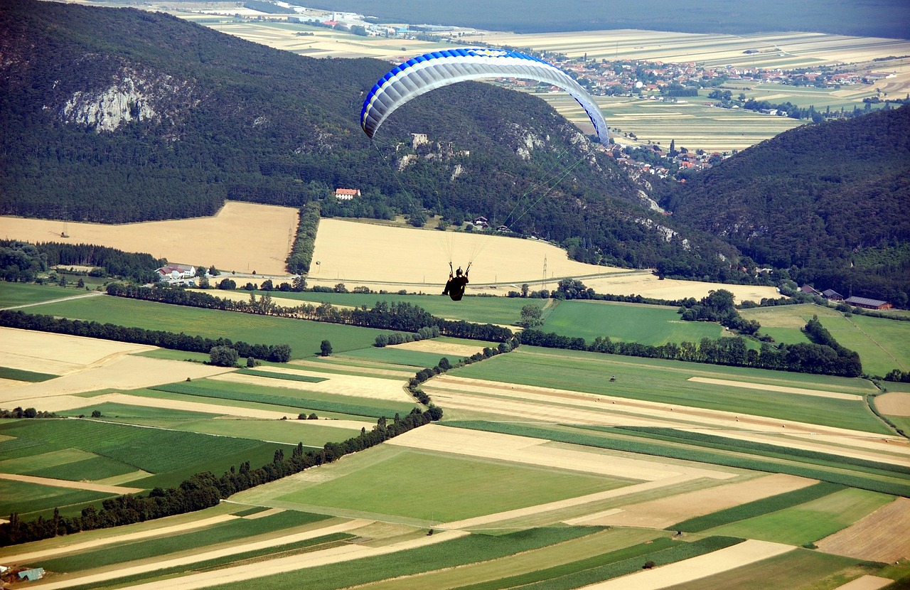 Flying - free online jigsaw puzzle photo