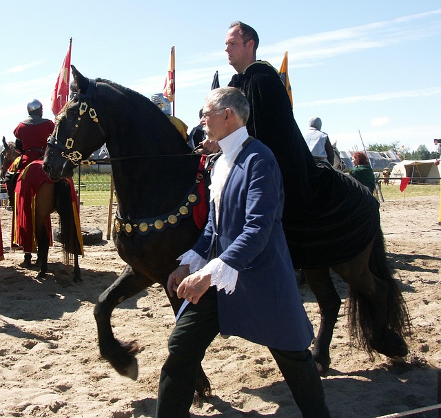 Free Horse Knight photo and picture
