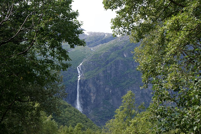 Free Waterfall Forest photo and picture
