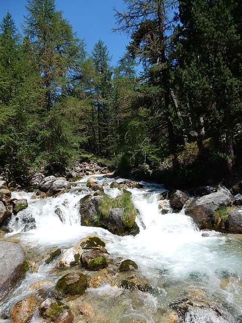 Free River Mountain photo and picture