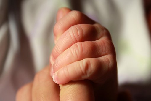 Baby Holding Hand, Infant, Hand, Child