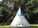 tipi, forest, nature