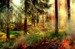 styggkaerret, image editing, hdr