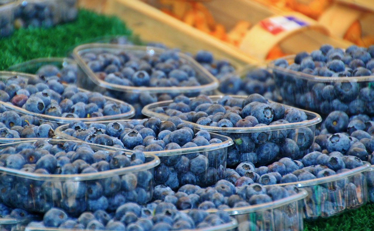 Blueberries - free online jigsaw puzzle photo