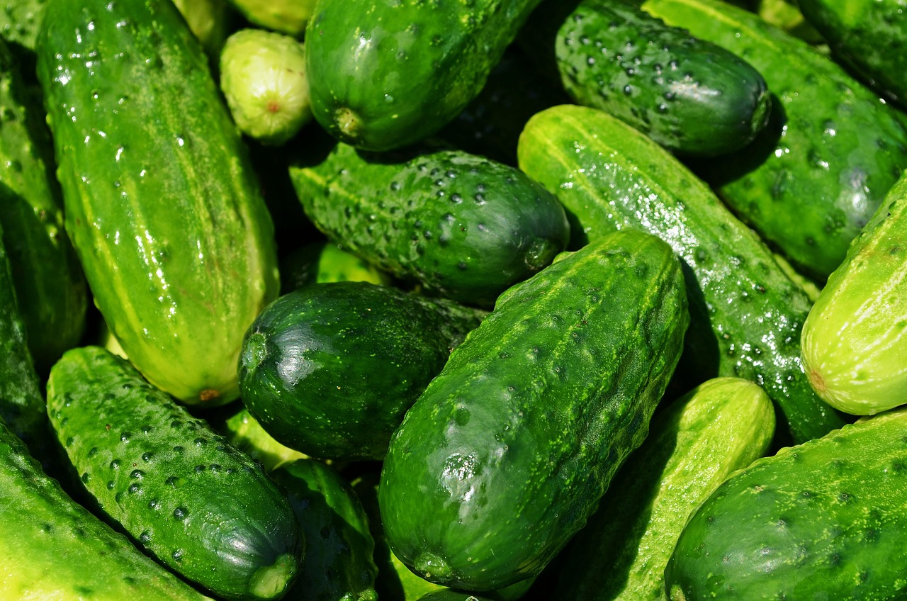 20 000 Free Farm Produce Agriculture Images Pixabay 20 000 Free Farm Produce Agriculture Images Pixabay
