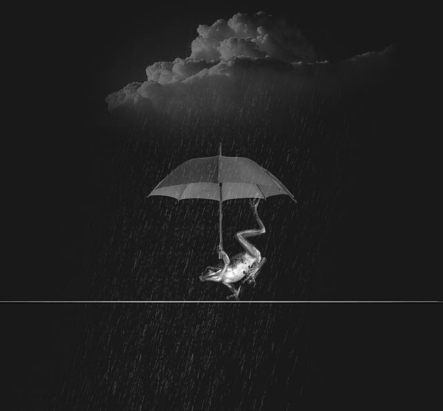 Free weatherman rain wet illustration