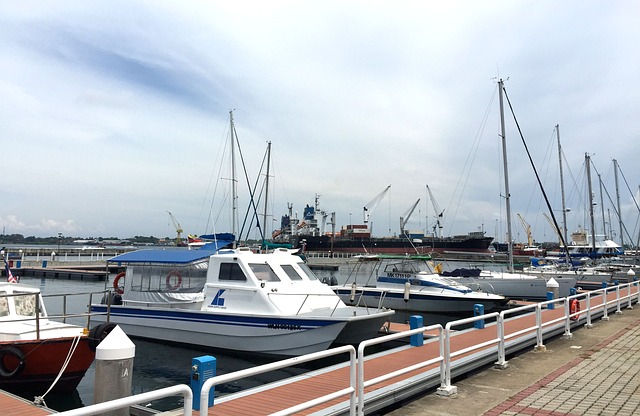 Free Port Trade Port photo and picture