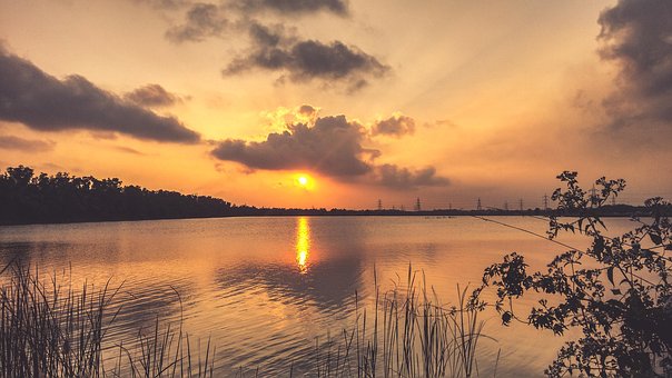 Free View Landscape photo and picture