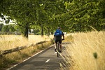 chandler motion, bike, qi