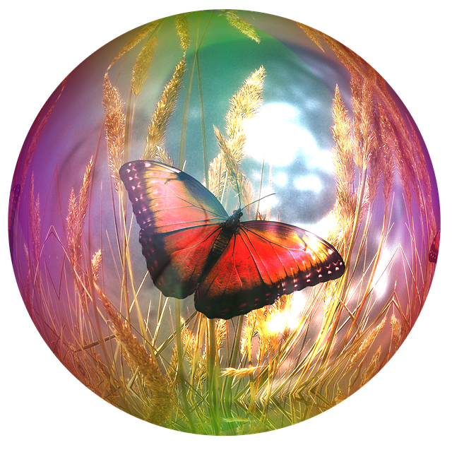 Free soap bubble butterfly cornfield illustration