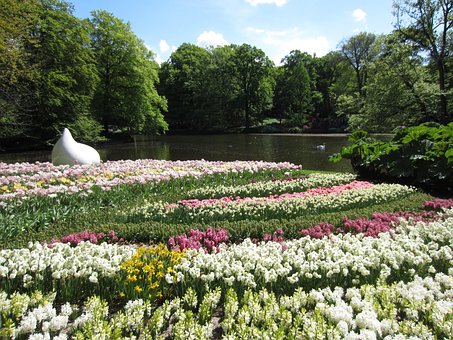 Tuin, Bloemen, Regeling, Meer, De Lente