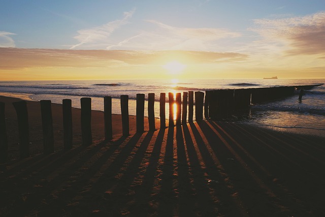 Free Beach Sun photo and picture