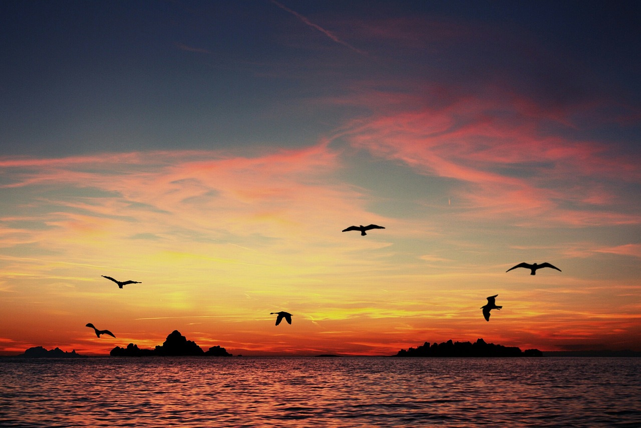 페이지 2 - 2,000 + 무료 석양 & 자연 이미지 - Pixabay