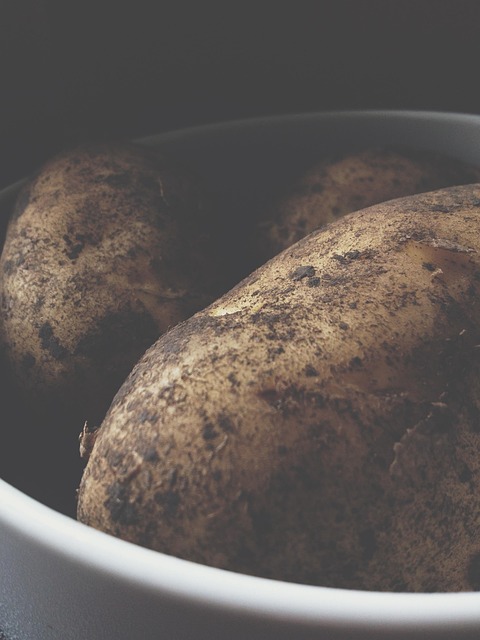 Free Potato Plant photo and picture