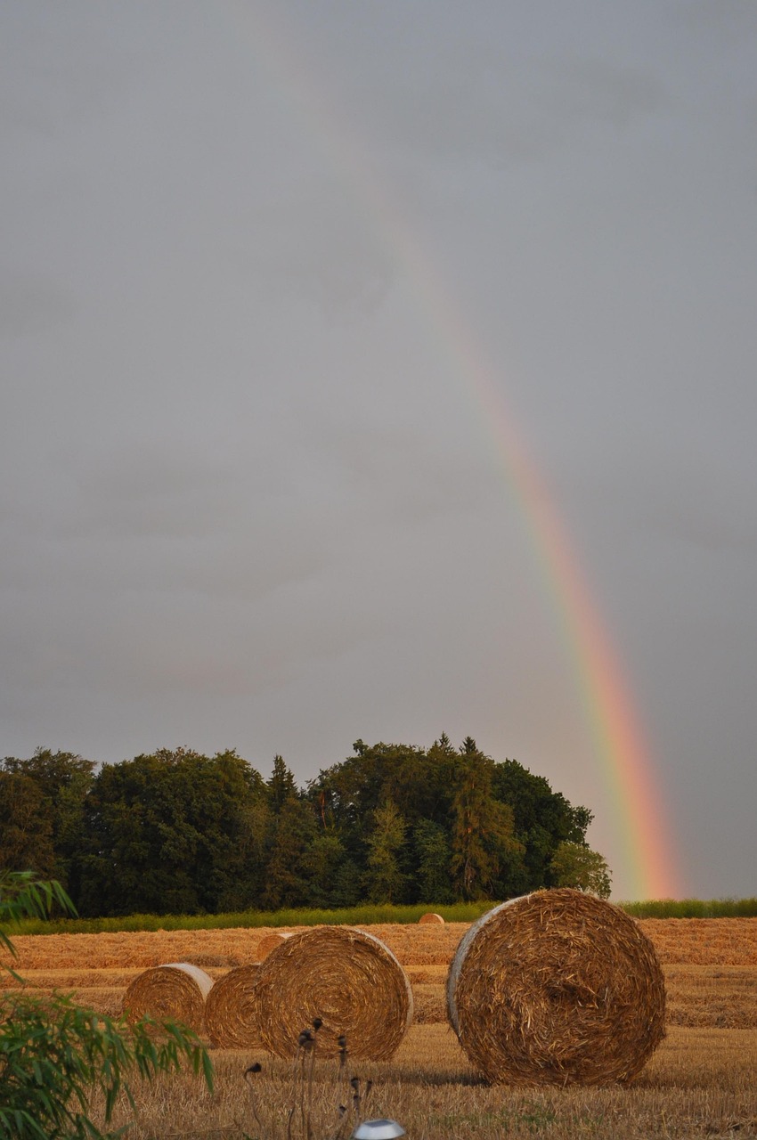 CPA 45 EN BEAUCE - A L'Abreuvoir