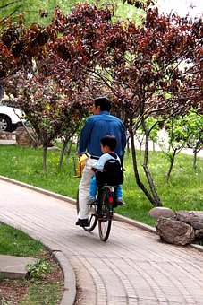 Cha Và Con Trai, Con Số, Cảnh, Đi Xe Đạp