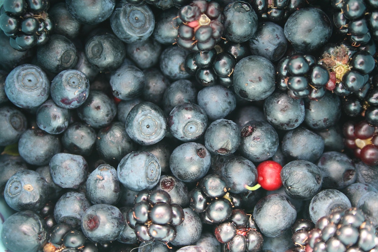 Yagoda Raspberry 水果 浆果 Jagoda - Pixabay上的免费照片 - Pixabay