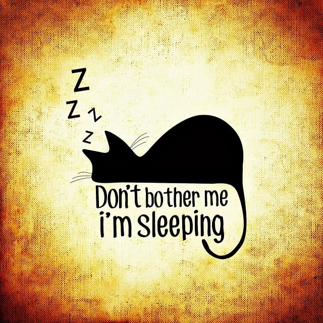 Free cat sleep cute illustration