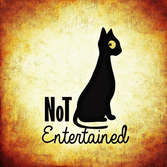 Free cat nature boredom illustration