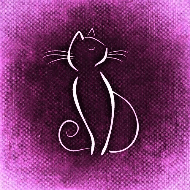 Free cat drawing animal illustration