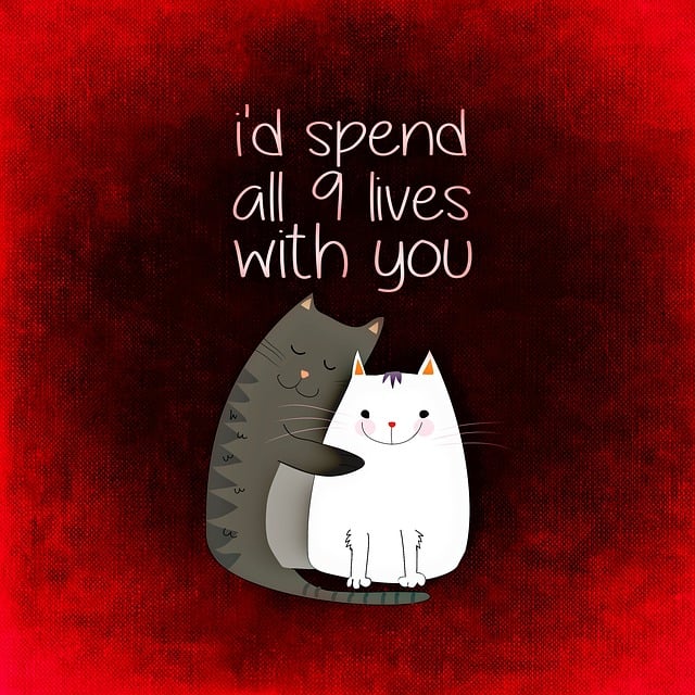 Katten, Dol Zijn Op, Samen, Smooch