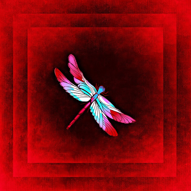 Free dragon-fly frame picture illustration