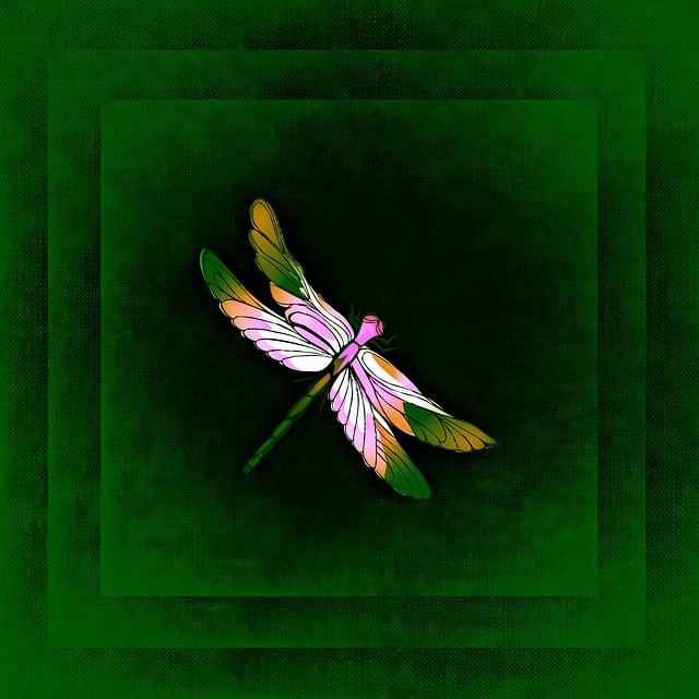 Free dragon-fly frame picture illustration